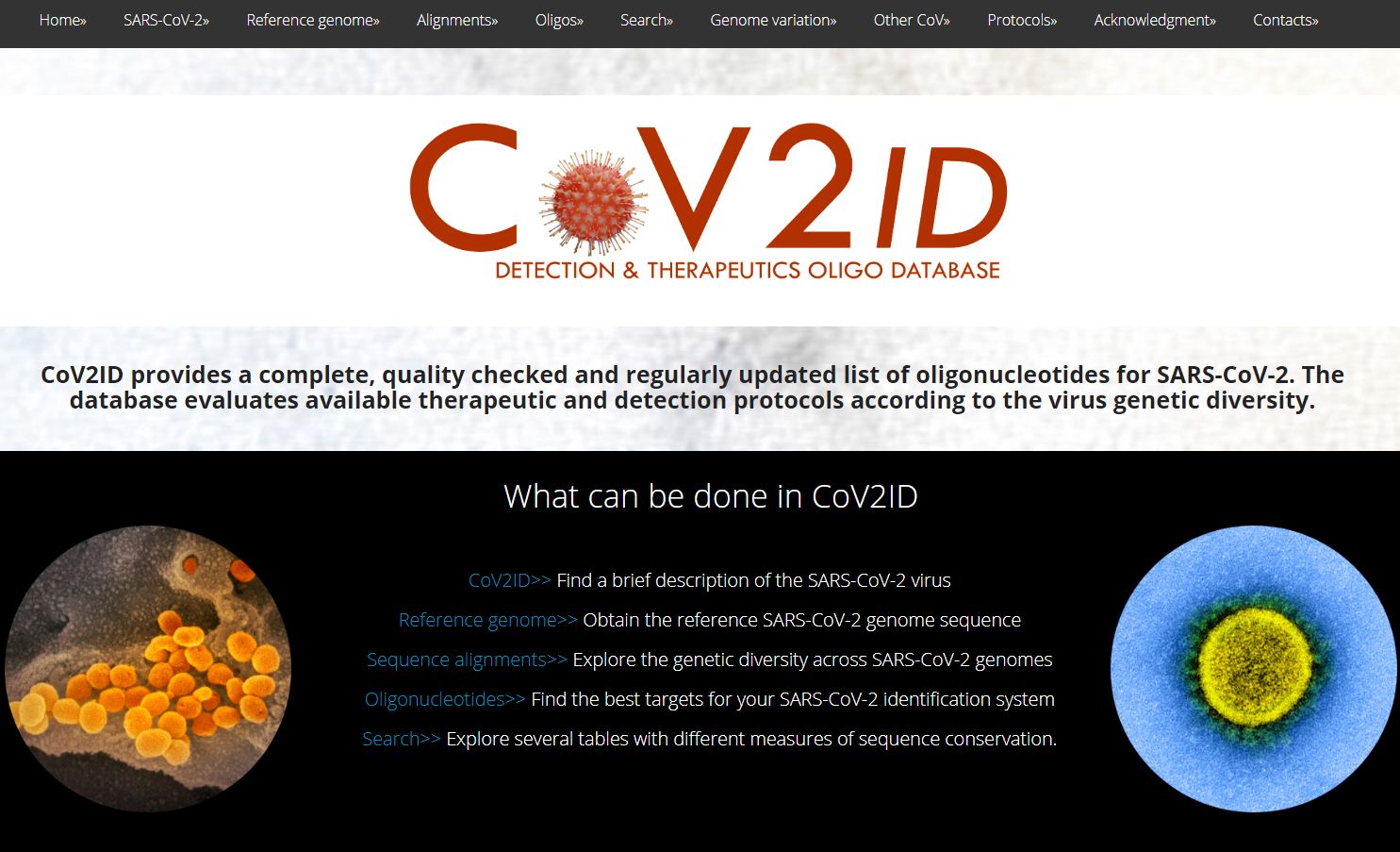 CoV2ID: Detection and Therapeutics Oligo Database for SARS-CoV-2